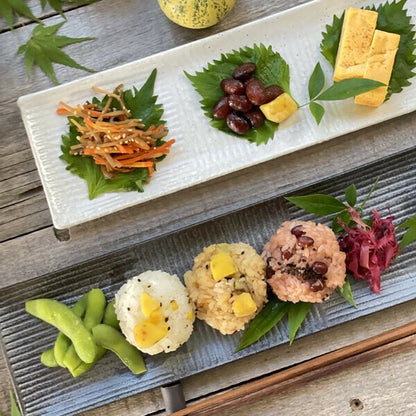 Five-Color Comb-Patterned Pacific Saury Plate, Long Plate, Mino Ware, Made in Japan